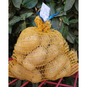 Pomme de terre monalisa