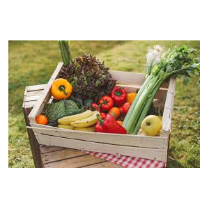 Panier légumes de saison dispo de la semaine