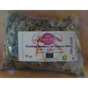 Feuille brisees de cassis bio