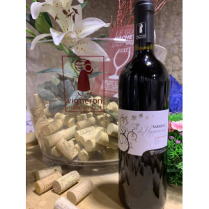 Sarment d'hippocrate rouge 2016