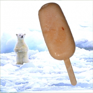 Le petit bâton de fruits  6 glaces  :  pamplemousse - fraise – myrtille