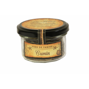 Vers de farine - saveur cumin