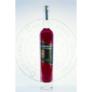 L'apéritif de lyon - le subtil
