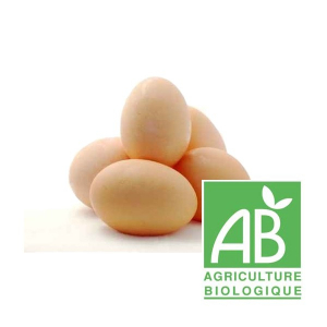 Boite de 10 œufs bio