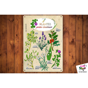 Déco en métal – herbier – plantes porte-bonheur