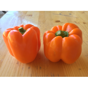 Poivron orange