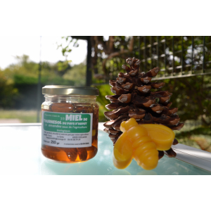 Miel de printemps et amandes bio