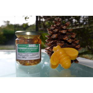 Miel de printemps et noisettes bio