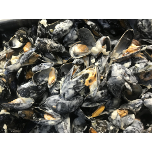 Moules à la crème