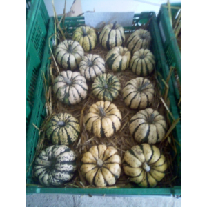 Patidou 200g et 400g