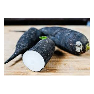 Radis noir