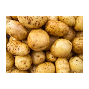 Pomme de terre agria