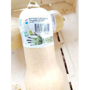 Butternuts (récolte 2020)