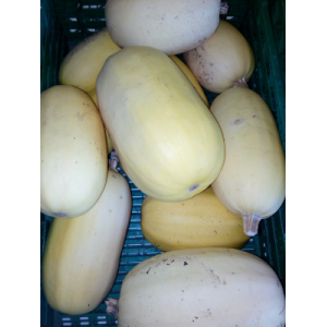 Courges spaghetti 100% bio