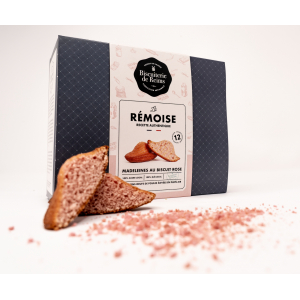 Madeleine 'la rémoise' rose