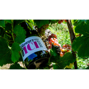 Le gewurztraminer d'ici