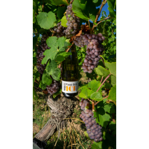 Le pinot gris d'ici