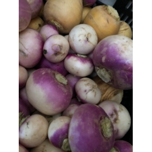 Navets blancs ou jaunes