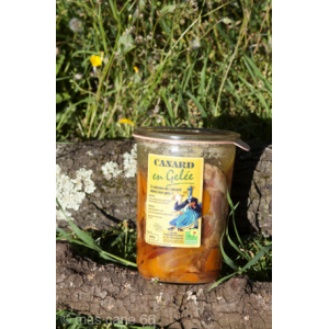 Canard en gelée pour 2 personnes