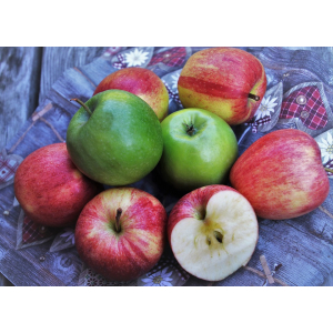 Pommes bio à cuisiner (moyen/gros calibre)