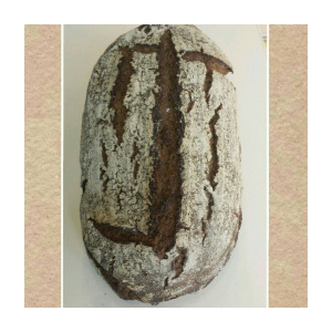 Pain de seigle t170 bio