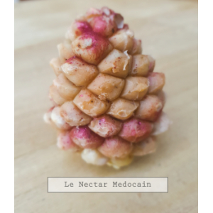 Le nectar médocain 'pigne'