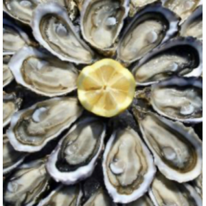 Huîtres ouvertes marennes oléron