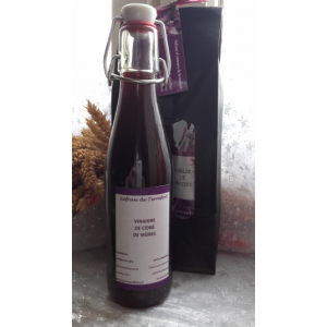 Vinaigre de cidre à la mûres