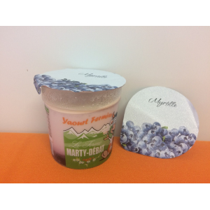 Yaourt myrtilles