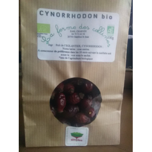 Tisane de cynnorrhodon