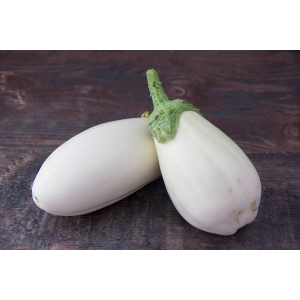 Aubergine blanche bio
