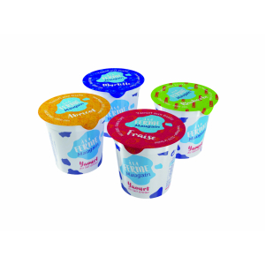 Yaourts en lot de 4