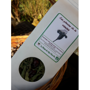 Les plantes de la vitalité