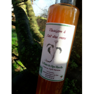 Vinaigre à l'ail des ours