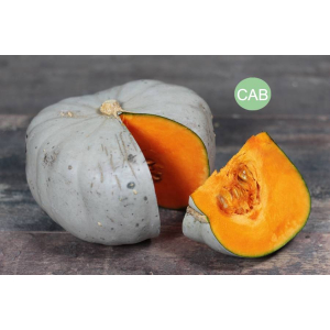 Courge bleu de hongrie bio