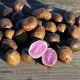 Pdt bleu gaianne bio