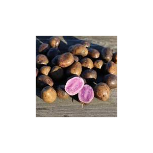 Pdt bleu gaianne bio