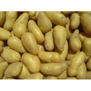 Pdterre  marabelle risque piqûre