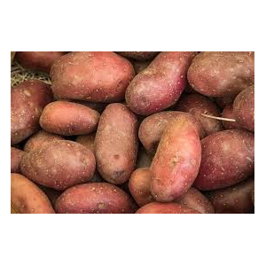 Pomme de terre purée bio