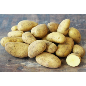 Pomme de terre ferme bio