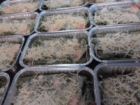 Crepe verte, garniture poisson et legumes