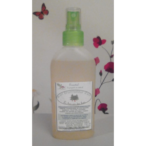 Brumisateur d'air assainissant