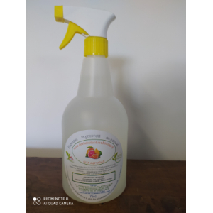 Désinfectant multi-usages