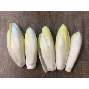 Endive