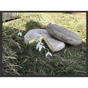 Saint-nectaire fermier 1/4