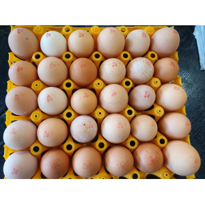 Oeufs frais pleins airs par 30
