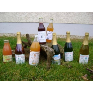 Pur jus de pomme-ortie 75cl