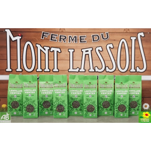 Lentilles vertes 500g