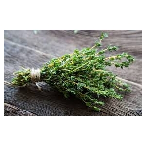 Plant de basilic   : aromatique