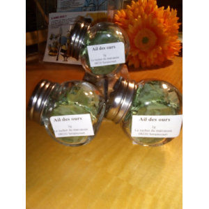 Ail des ours séché